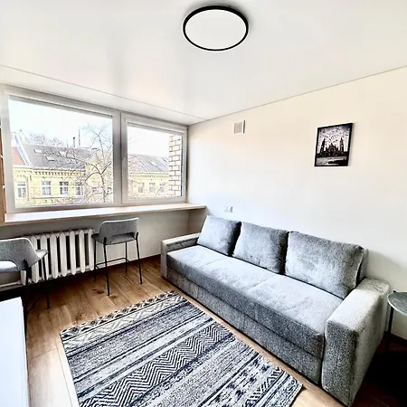 Brand New In The Center 维尔纽斯