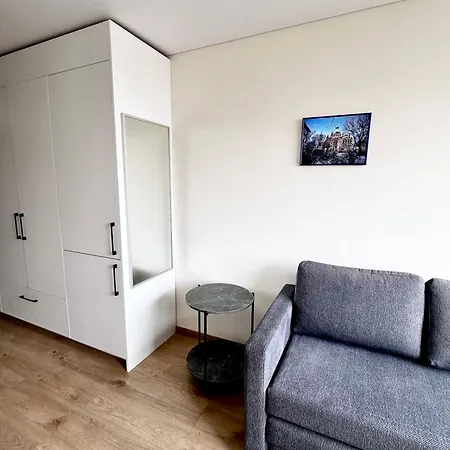 Brand New In The Center Apartment Vilnius