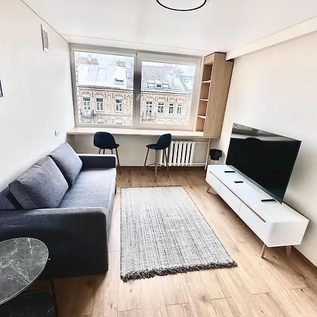 Appartamento Brand New In The Center Vilnius