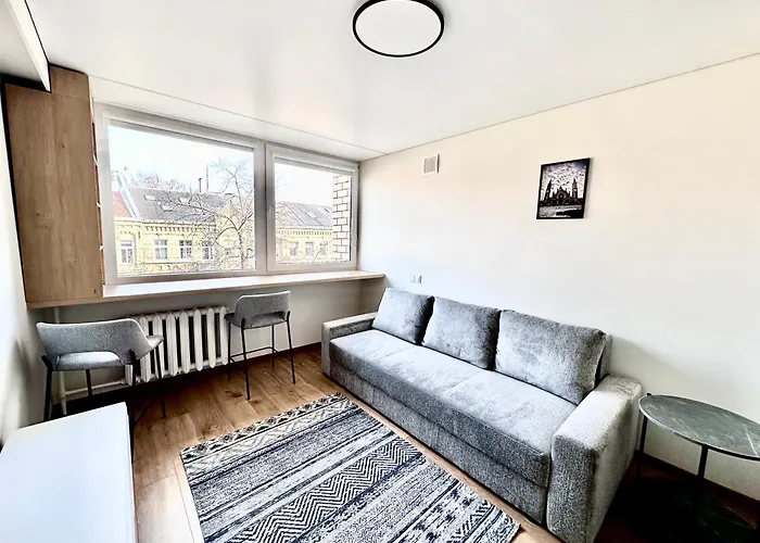 Brand New In The Center 维尔纽斯