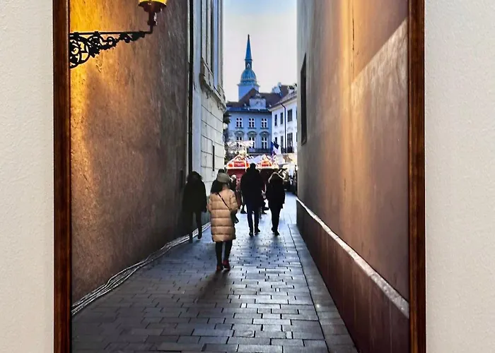 Brand New In The Center Vilnius