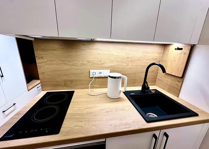 Apartament Brand New In The Center Wilno