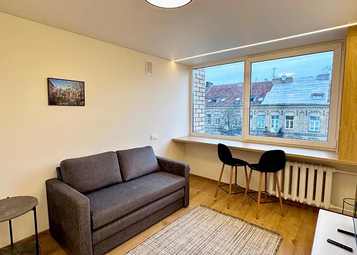 Brand New In The Center Vilnius