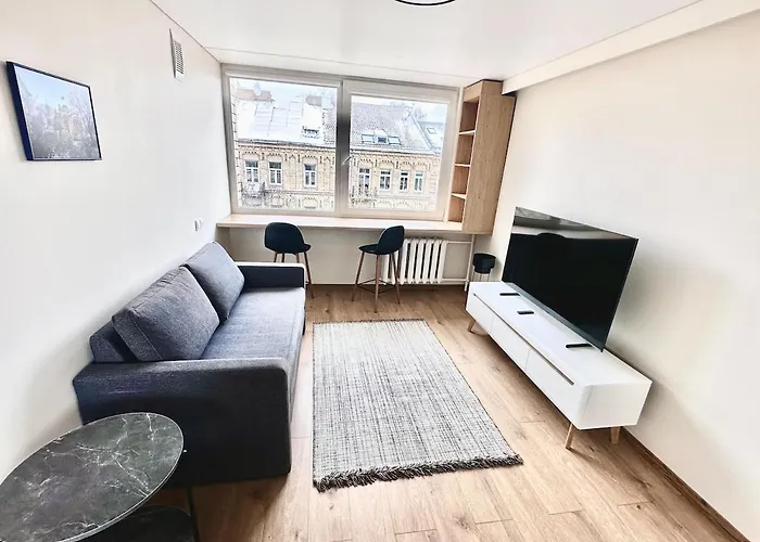 Appartamento Brand New In The Center Vilnius