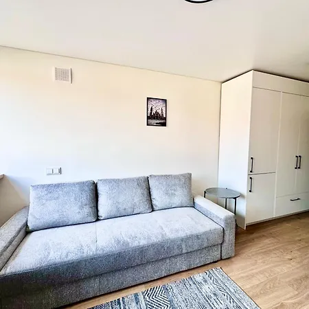 Brand New In The Center Apartment Vilnius