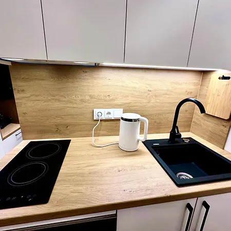 Apartment Brand New In The Center Wilna