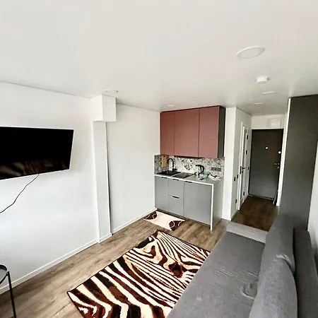 Brand New In The Center Апартаменти Вільнюс