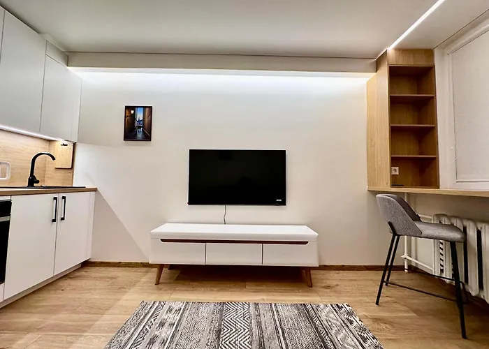 Brand New In The Center * Вільнюс